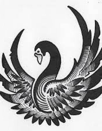 Black Swan Moving