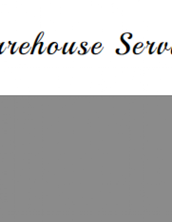 Warehouse Services Inc