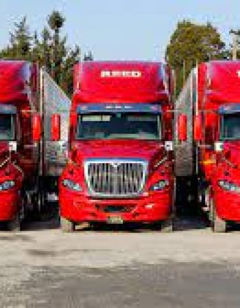 Reed Trucking Co