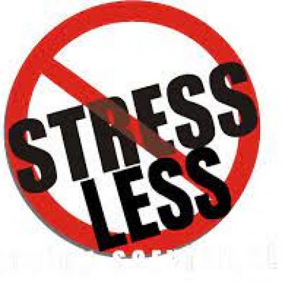 Stressless Moving Company