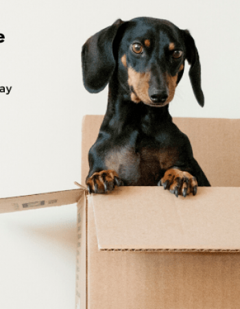 404 Movers