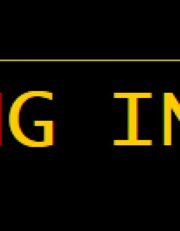 Maan Trucking Inc