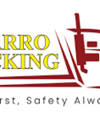 Navarro Trucking LLC