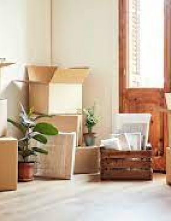 A Womans Touch Moving and Packing