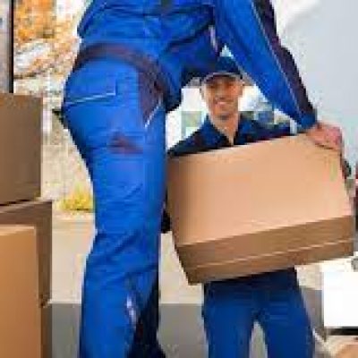 Moving Pros
