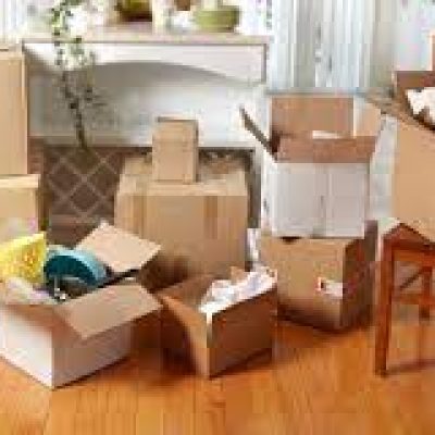 Moving Pros