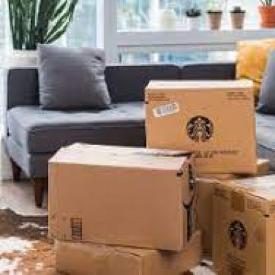 Pro Movers Savannah