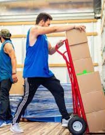 Sebastian Moving Baltimore