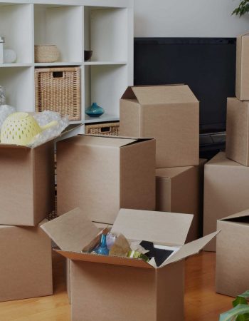 All In Movers LLC