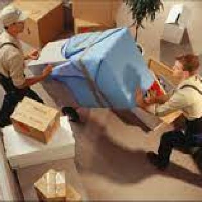 Pro Movers Savannah
