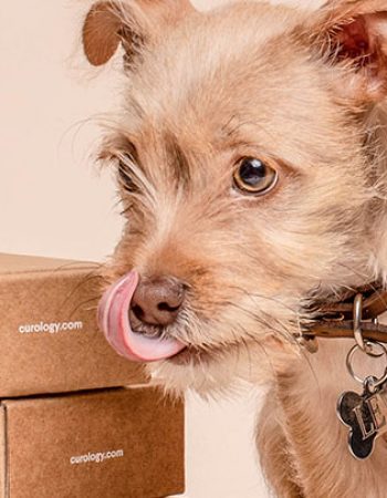 Angel L Moving Company LLC