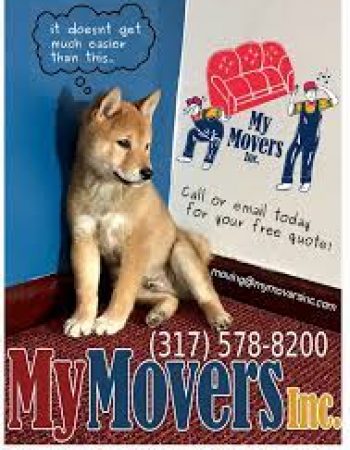 My Movers Inc