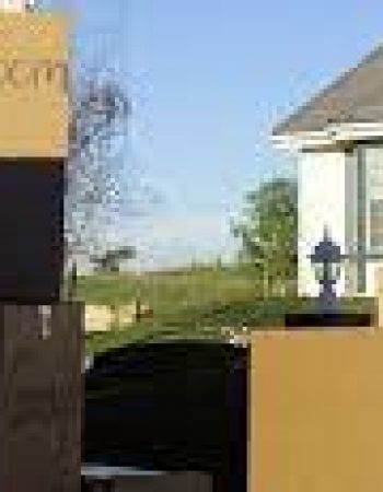 Louis Furniture Movers