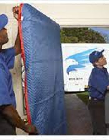 Earle W Noyes & Sons Moving Specialists