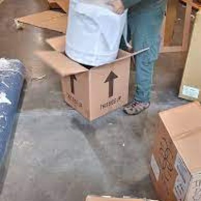 Design Logistics Inc