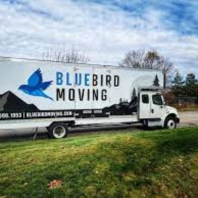 Bluebird Moving