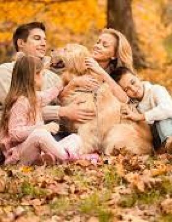 Capital Pet Movers