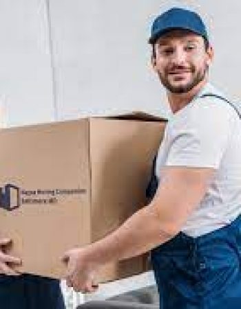 Magna Moving Companies
