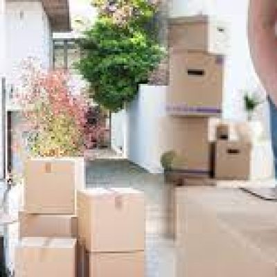Noah’s Moving Services