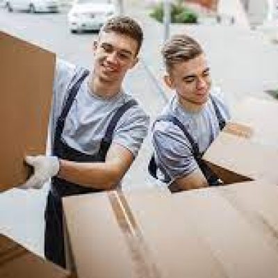 Collegiate Movers, Inc.