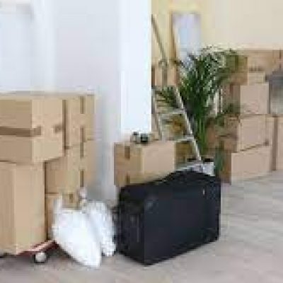 Best Movers