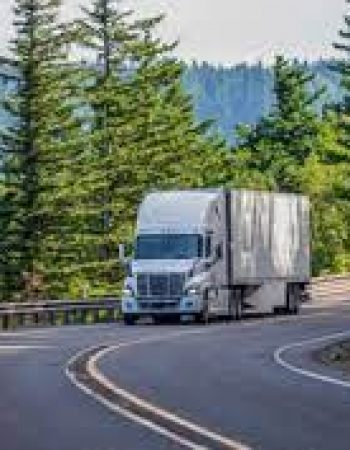 E K Movers and Disposal LLC