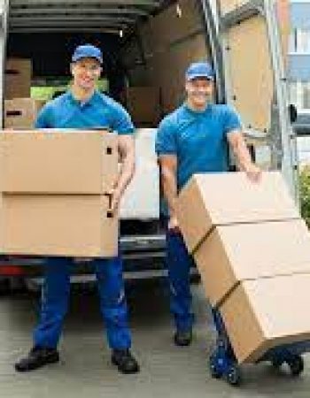 Levy’s Moving Services