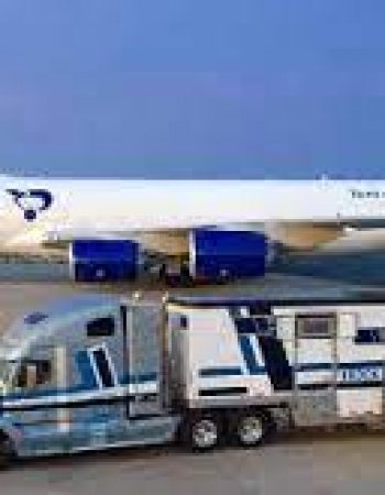 Brook Ledge Horse Transportation Inc