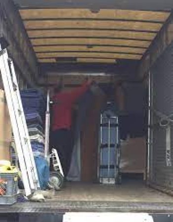 Bizon Moving & Storage