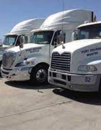 Coastal Trucking & Distribution Inc