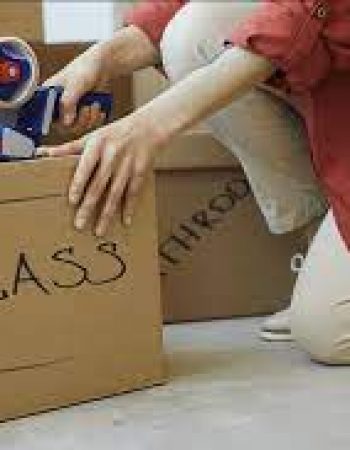 The Moving Guys LLC