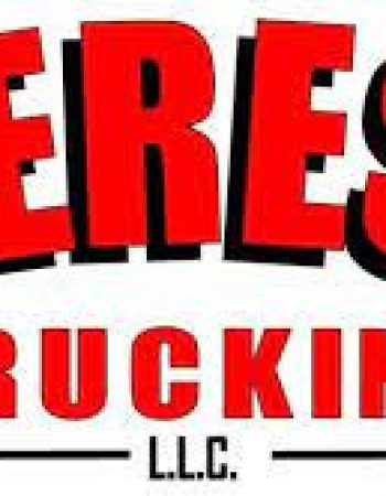 Teresi Trucking LLC