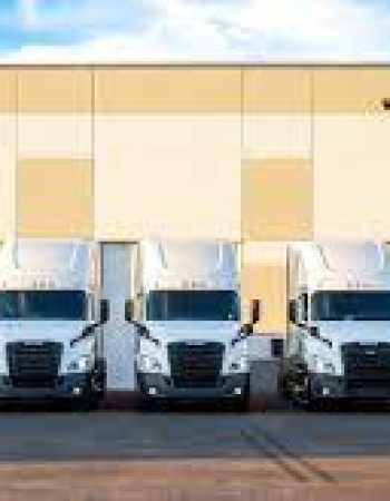 Interland Inc