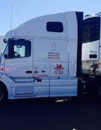LG Trucking Inc