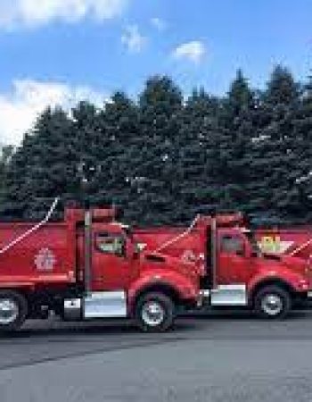 Di Trucking Llc