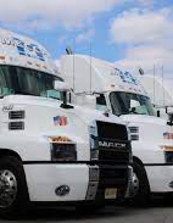 Mecca & Son Trucking Company Inc