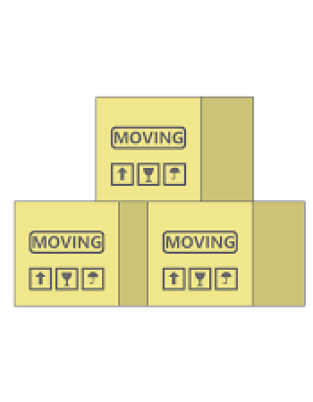 Bizon Moving & Storage