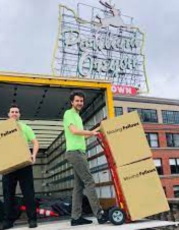 Moving Fellows