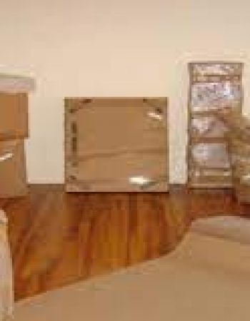 Champion movers RI