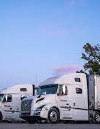 MigWay Inc