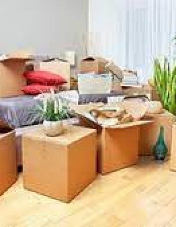 All Over Movers