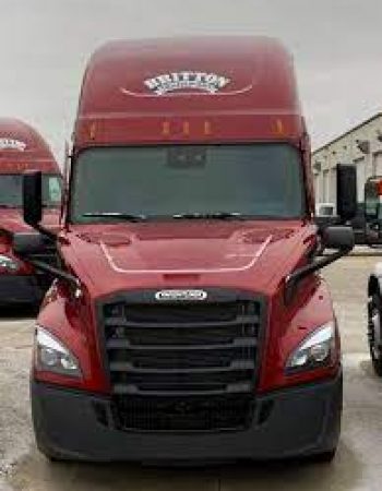 Bison USA