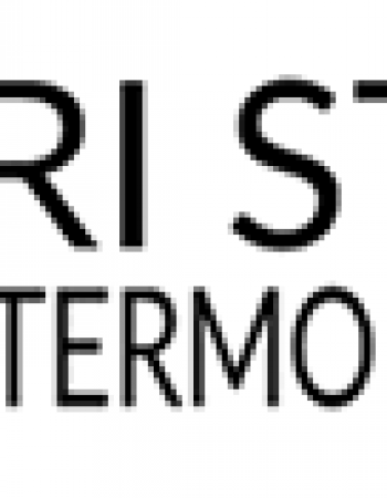 Tri State Intermodal Inc