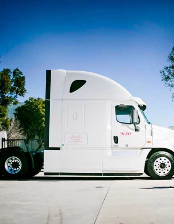 Merit Trucking Co Inc