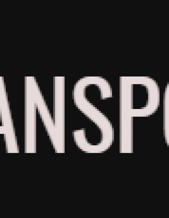 DCT TRANSPORT LLC