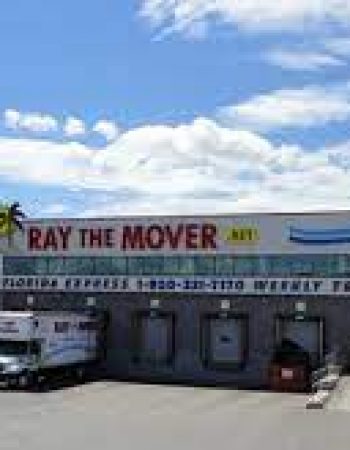 Ray the Mover