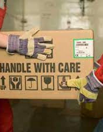 Coastal Trucking & Distribution Inc