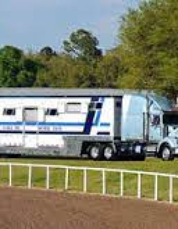 Brook Ledge Horse Transportation Inc