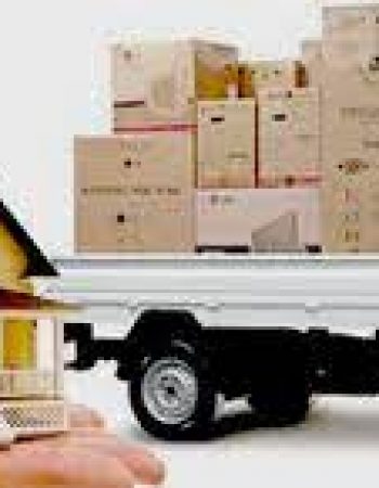 Champion movers RI