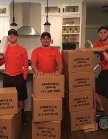 GOODFELLAS MOVING COMPANY